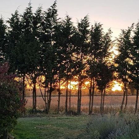 Amailloux Le Magnoux Peaceful Retreat B&B 외부 사진
