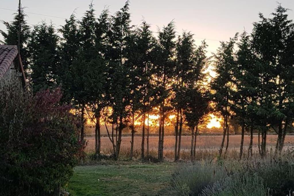 Amailloux Le Magnoux Peaceful Retreat B&B 외부 사진